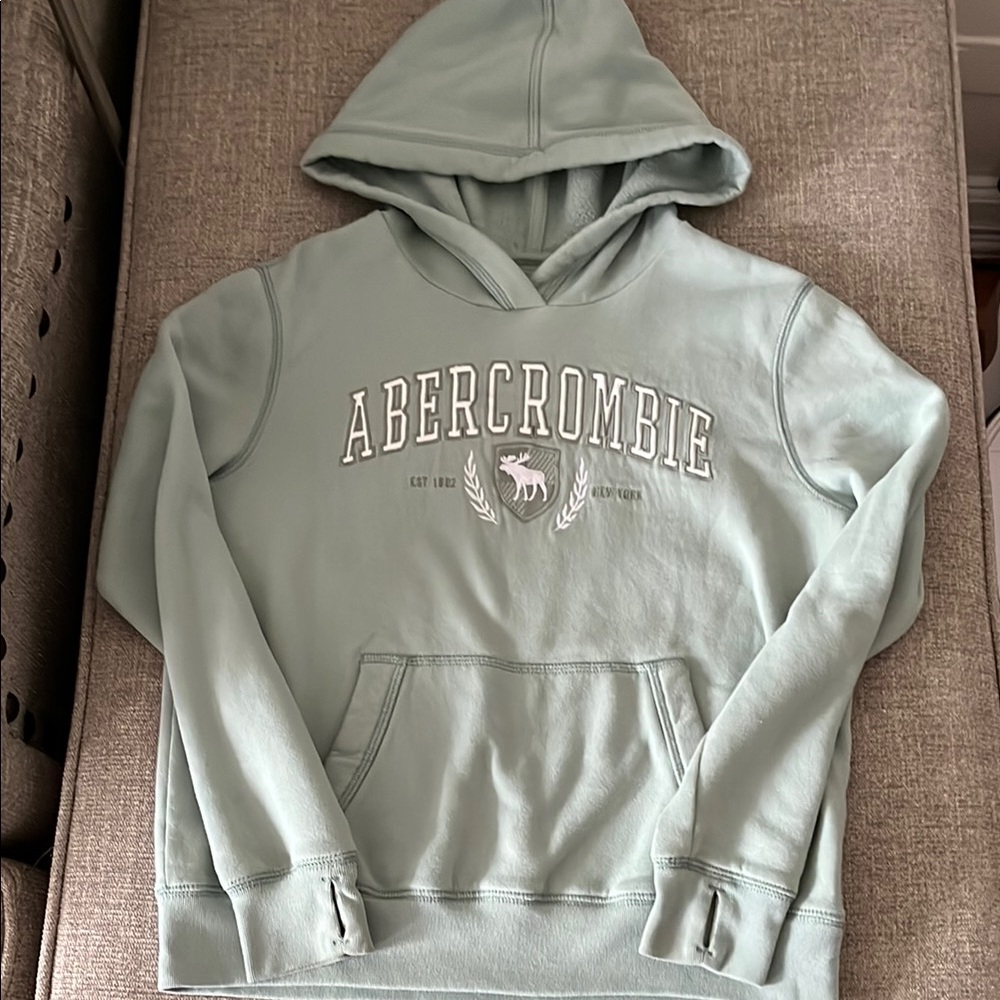 Abercrombie Kids Mint Green Hoodie